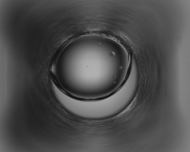 X0000095951353200801111341