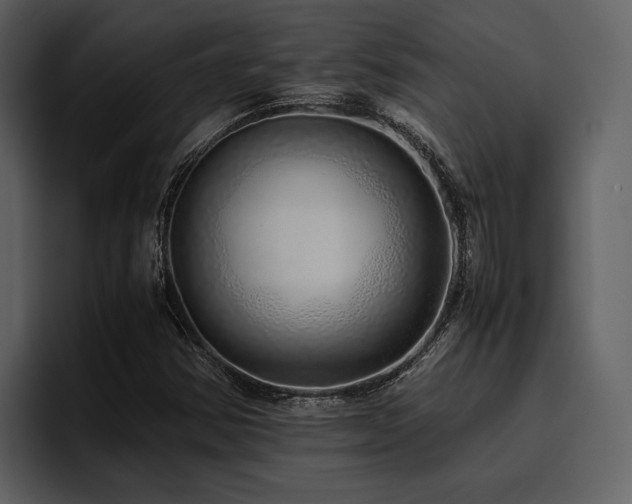 X0000095951354200801111341