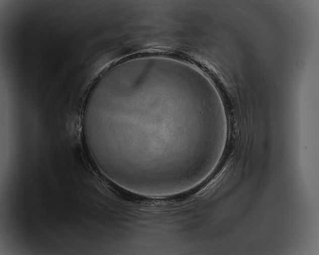 X0000095951355200801111341