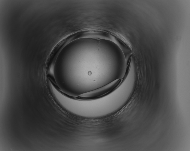 X0000095951356200801111341