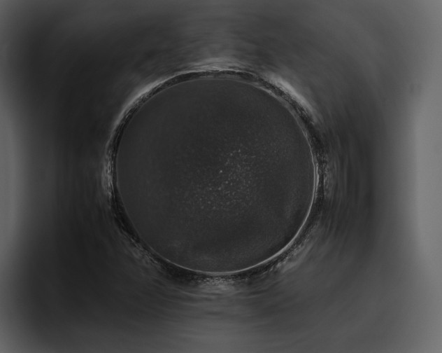 X0000095951358200801111341