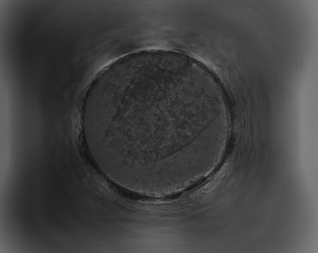 X0000095951359200801111341