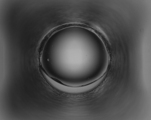 X0000095951360200801111341