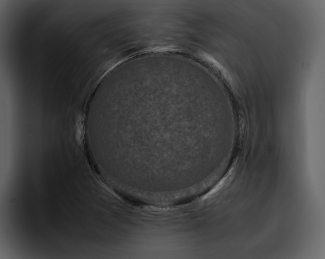 X0000095951361200801111341