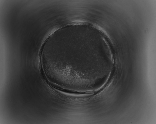 X0000095951362200801111341