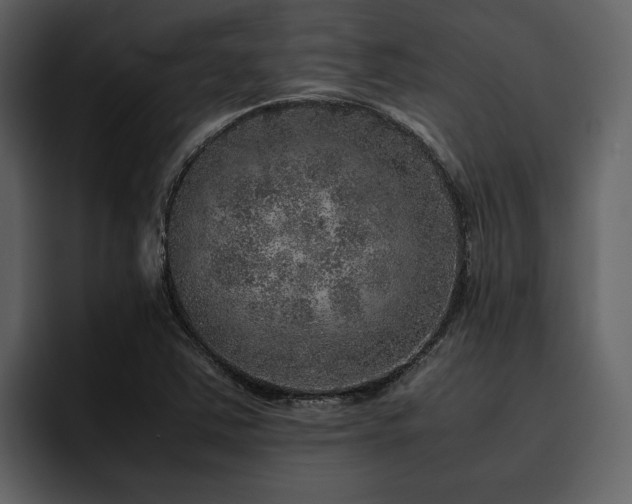 X0000095951363200801111341