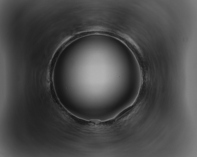 X0000095951364200801111341