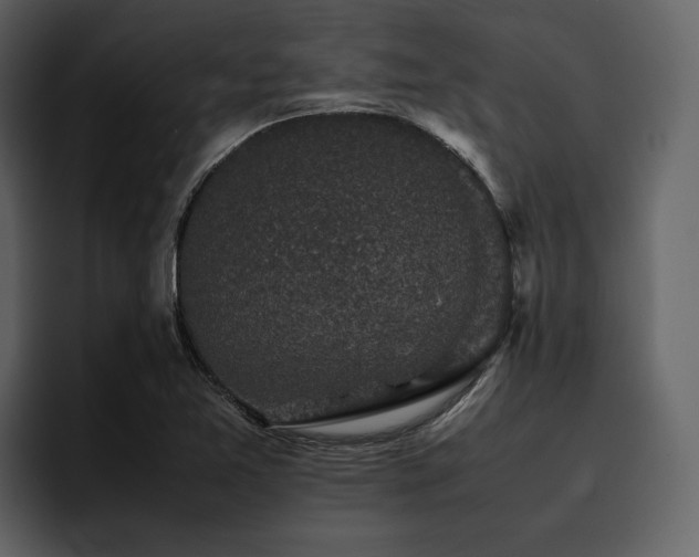 X0000095951365200801111341