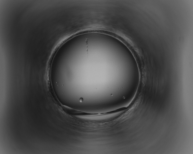 X0000095951366200801111341