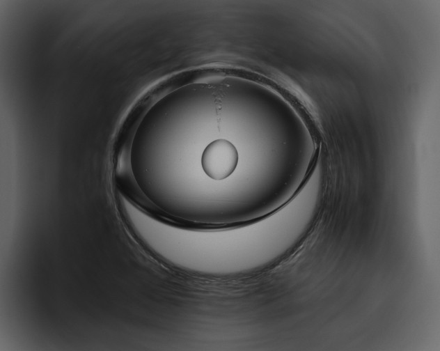 X0000095951368200801111341