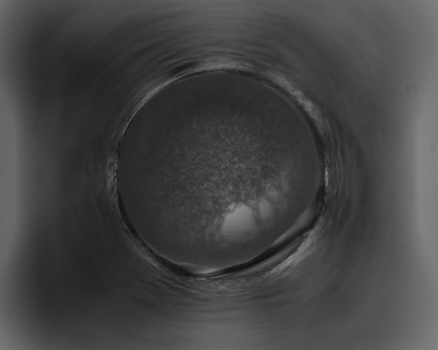 X0000095951369200801111341