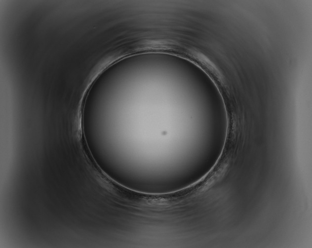 X0000095951370200801111341
