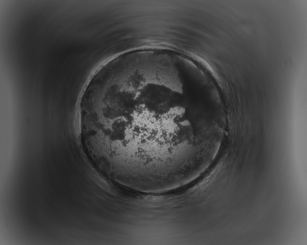 X0000095951371200801111341