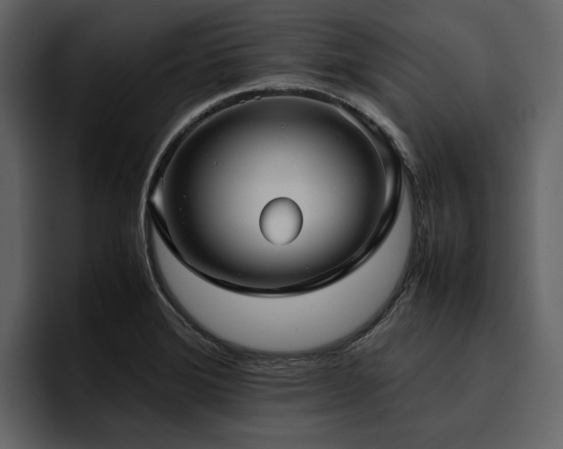 X0000095951372200801111341
