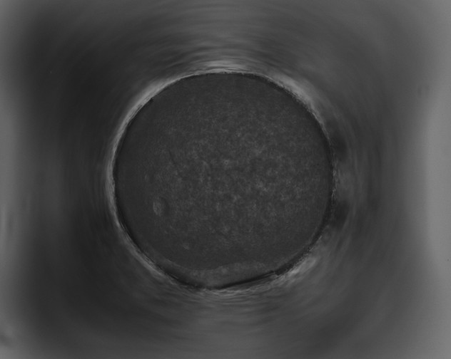 X0000095951373200801111341