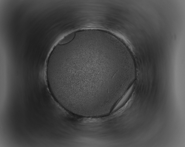 X0000095951374200801111341