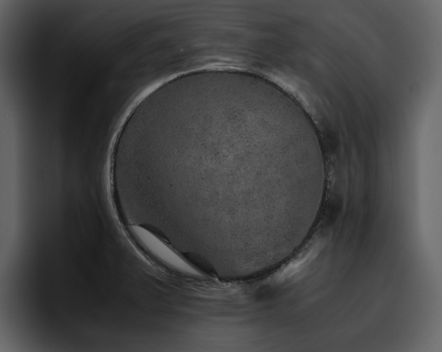 X0000095951375200801111341