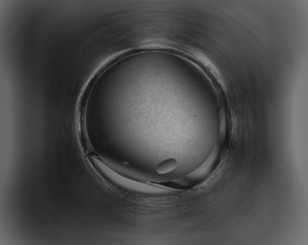 X0000095951376200801111341