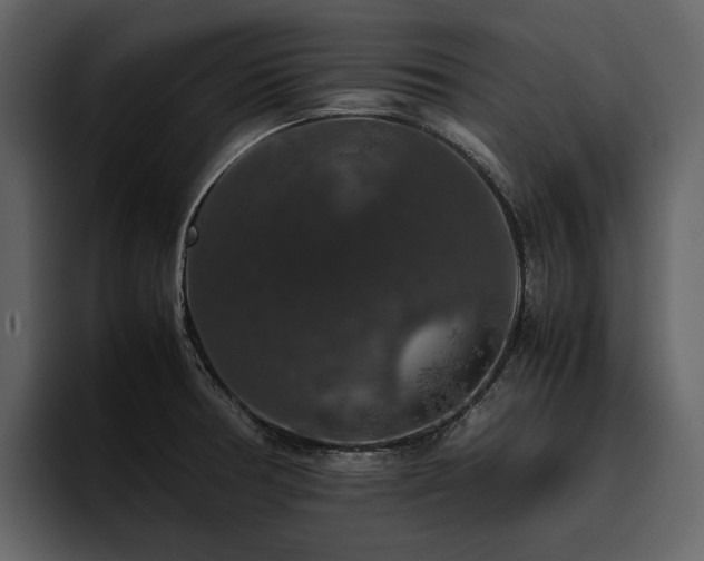 X0000095951378200801111341