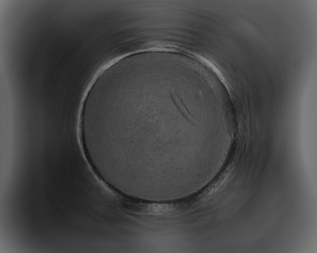 X0000095951379200801111341