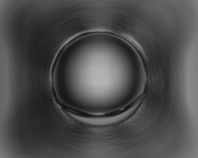X0000095951380200801111341