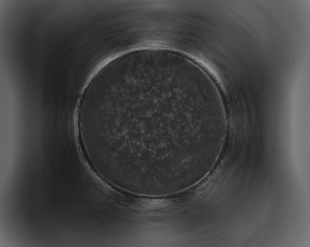 X0000095951382200801111341