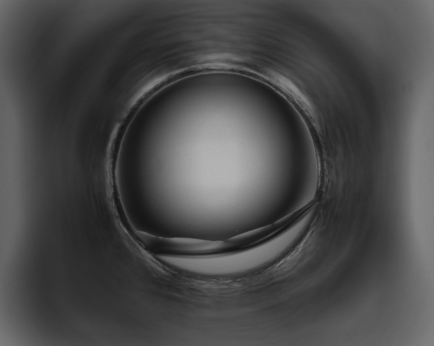 X0000095951384200801111341