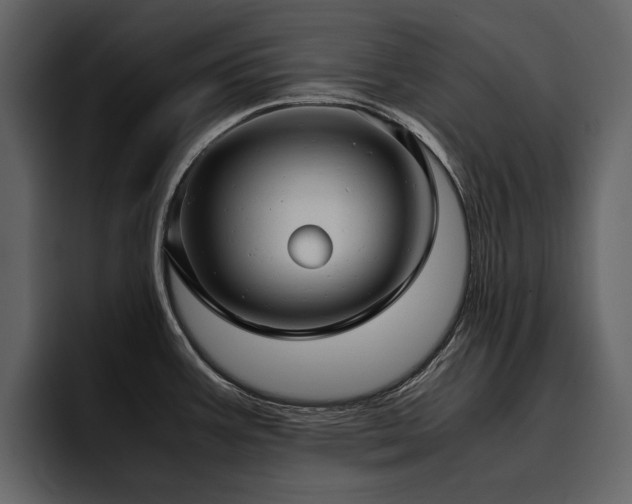 X0000095951387200801111341