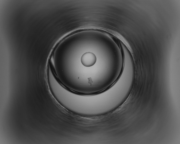 X0000095951388200801111341