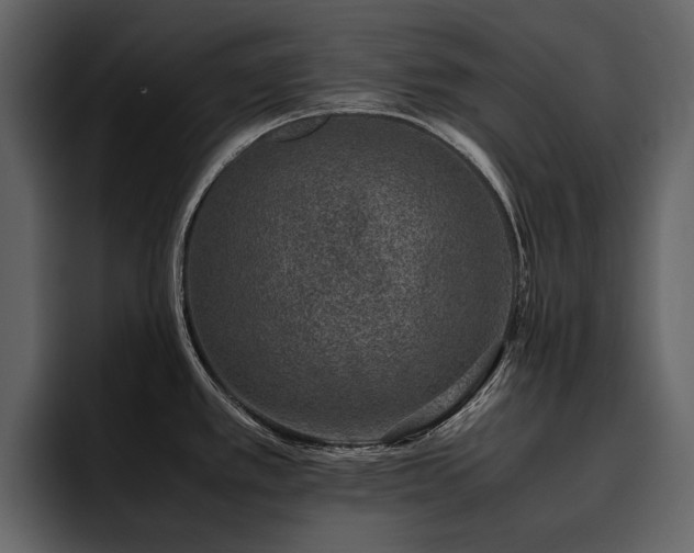 X0000095951389200801111341