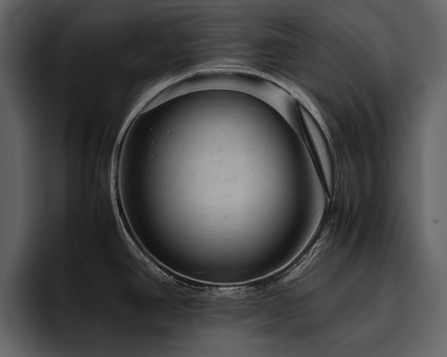 X0000095951390200801111341