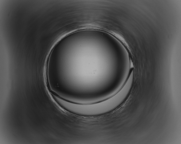 X0000095951391200801111341