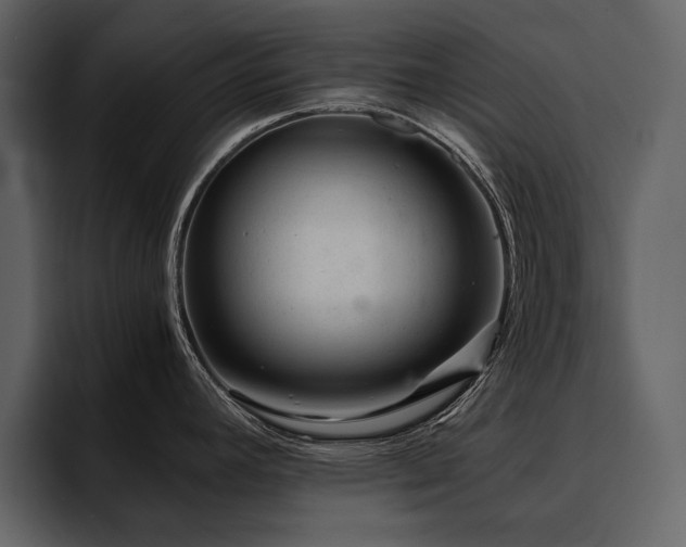 X0000095951392200801111341