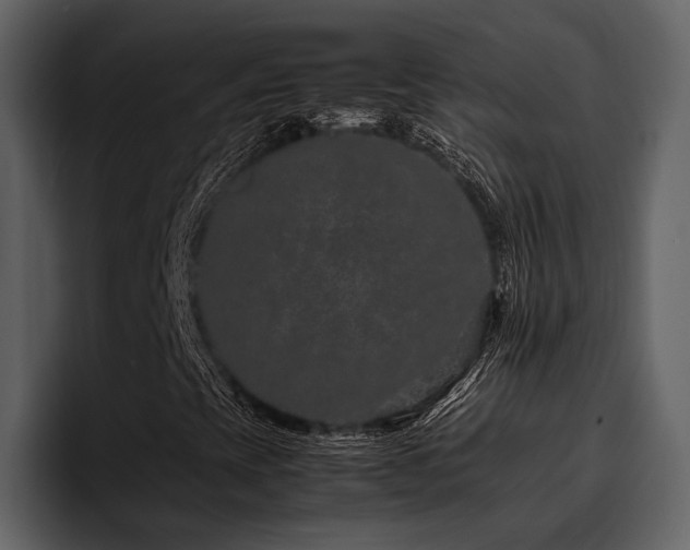 X0000095951393200801111340