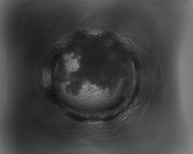 X0000095951394200801111340