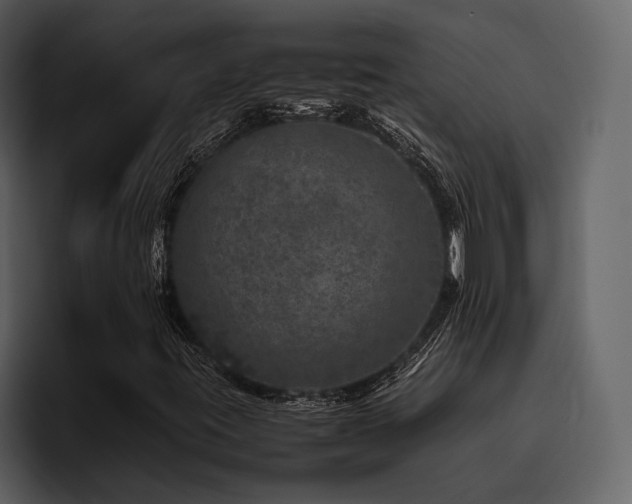 X0000095951395200801111340
