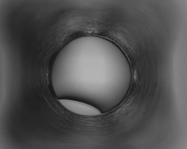 X0000095951396200801111340