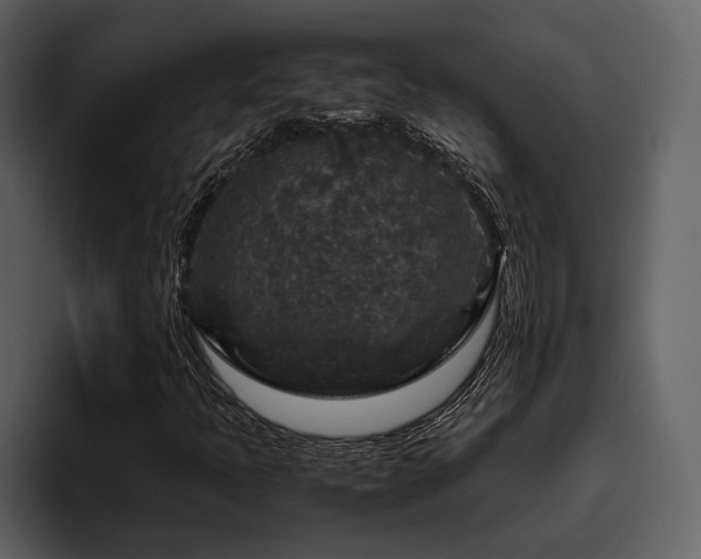 X0000095951397200801111340