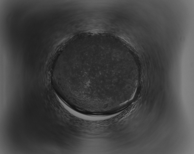 X0000095951398200801111340