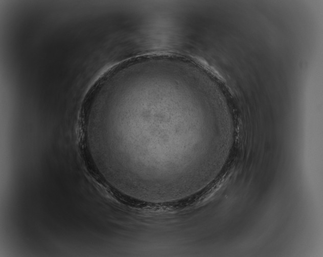 X0000095951400200801111340