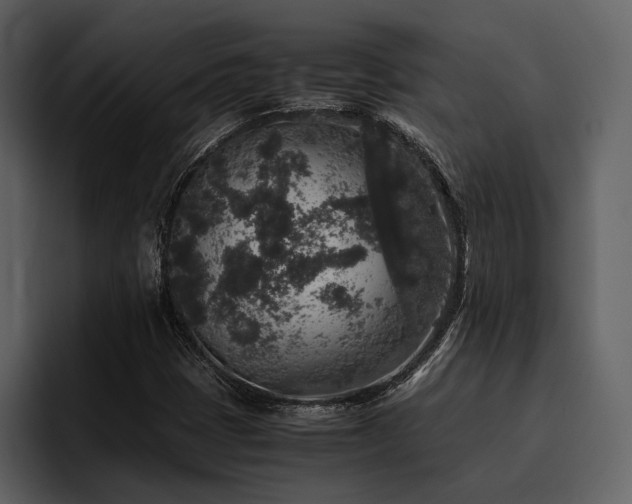 X0000095951401200801111340