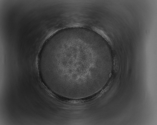 X0000095951404200801111340