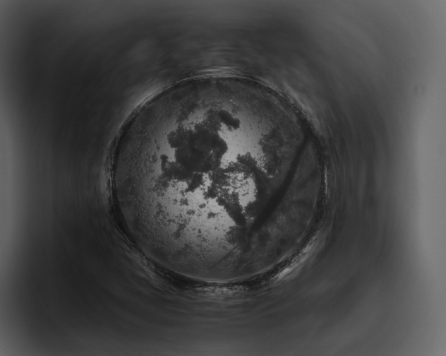 X0000095951405200801111340