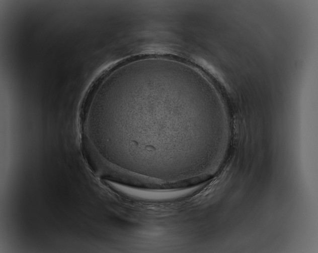 X0000095951408200801111340