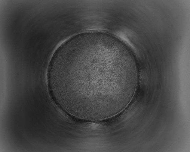 X0000095951412200801111341