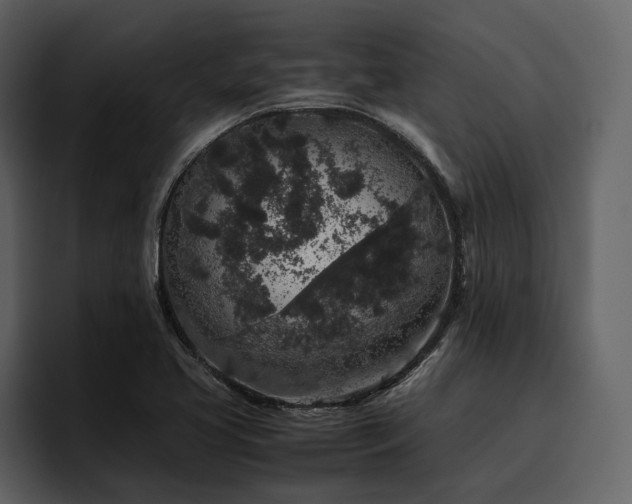 X0000095951413200801111341