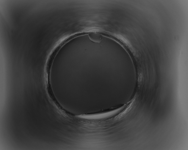 X0000095951414200801111341