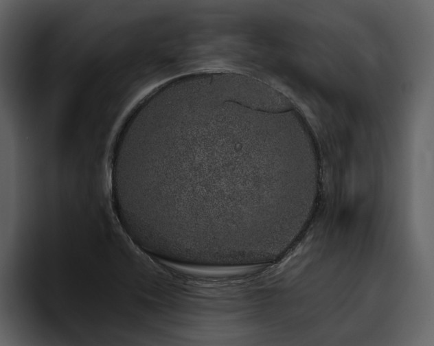 X0000095951416200801111341