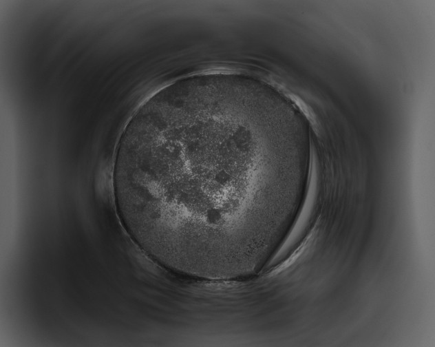 X0000095951417200801111341