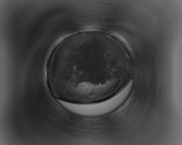 X0000095951419200801111341